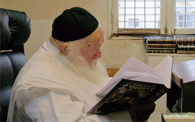 Rav Chaim Kanievsky perusing this book